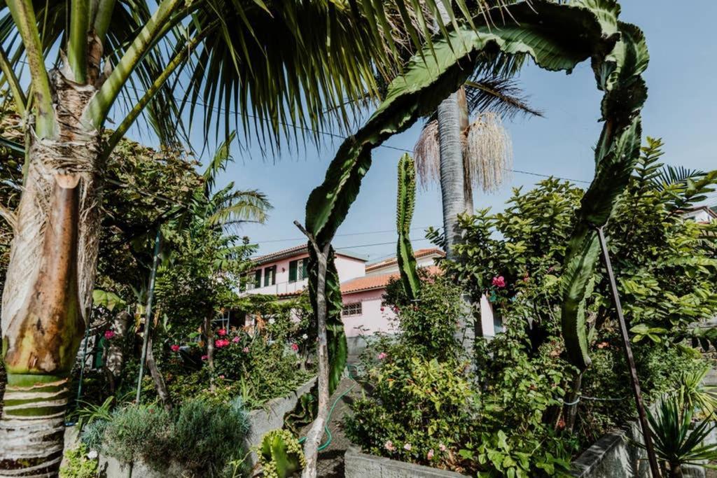 City View Gardens Φουνκάλ Εξωτερικό φωτογραφία