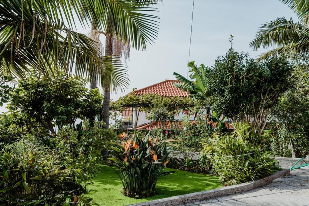 City View Gardens Φουνκάλ Εξωτερικό φωτογραφία